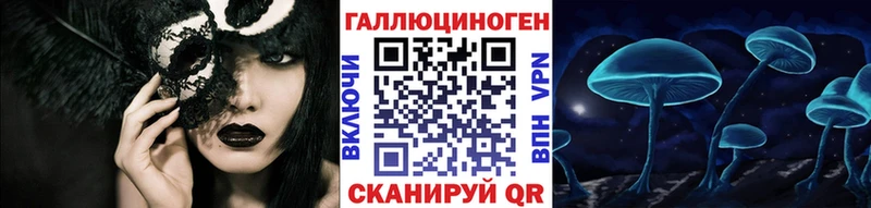 OMG сайт  наркотики  Новосиль  Псилоцибиновые грибы Magic Shrooms 