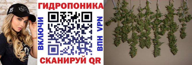 хочу наркоту  Новосиль  Марихуана план 